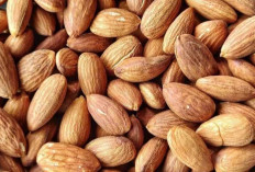 Asal Usul Almond : Kacang Kaya Manfaat yang Sudah Dikenal Sejak Ribuan Tahun Lalu