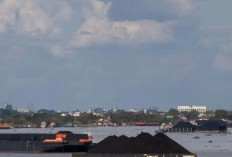 Produksi Batu Bara Sumsel 2025 Tembus 120,74 Juta Ton