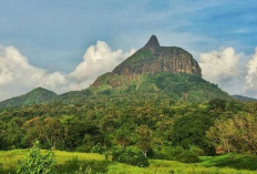 Indahnya Bukit Selero : Pesona Alam yang Tersembunyi di Kabupaten Lahat Sumatera Selatan