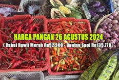 Harga Pangan 26 Agustus 2024 : Cabai Rawit Merah Turun Menjadi Rp52.900 per Kg !