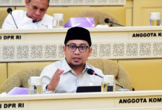 KPU Diminta Evaluasi Proses Verifikasi Ijazah Calon Kepala Daerah