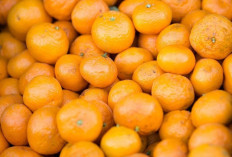 Atasi Ketombe dan Jamur Kaki dengan Kulit Jeruk Mandarin