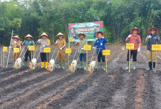 Dukung Swasembada Pangan : Kapolres dan Pj. Wako Prabumulih Pimpin Penanaman Jagung Seluas 9,75 Hektar !