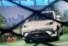 Saingi Wuling Air ev: BYD Atto 1 Resmi Meluncur, Mengusung Desain Modern dan Harga Terjangkau !