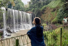 Pesona Air Terjun Temam, Surga Tersembunyi di Kota Lubuklinggau