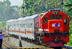 Bahaya Pelemparan Kereta, Ancaman Nyawa dan Hukum