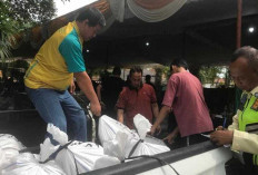 Idul Adha 1446 H, PHR Zona 4 Bagikan Ratusan Hewan Kurban kepada Warga Ring I Operasi 