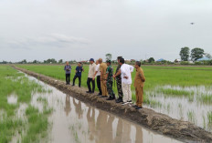 6.000 Lahan di Ogan Ilir Akan Disiapkan : Dukung Program Ketahanan Pangan Presiden Prabowo !