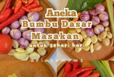 Mengenal Berbagai Jenis Bumbu Masakan dan Fungsinya dalam Kuliner