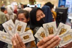 Cek Harga Emas Antam Hari Ini, 11 Juni 2026: Turun Rp24.000 per Gram, Kini Dibanderol Rp2,689 Juta