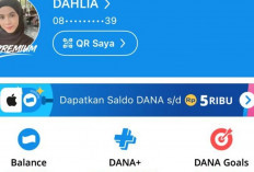 Cara Upgrade DANA Premium 2026, Panduan Mudah dan Lengkap!
