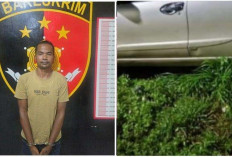 Sopir Taksol di Lubuklinggau Dirampok dan Dirudapaksa : 1 Pelaku Dibekuk di Tebo Jambi, Ini Tampangnya ! 