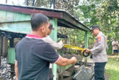 Satu Unit Rumah Panggung di Ogan Ilir Ludes Terbakar, Kerugian Capai Rp100 Juta