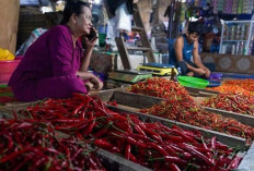Harga Pangan 29 September 2025: Beras Medium Turun Jadi Rp13.565, Cabai Rawit Rp46.153 per Kilogram !