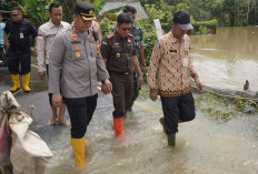 Lihat Perkembangan Banjir Payuputat: Pj Wako Prabumulih Bersama Kajari dan Kapolres Turun ke Lapangan