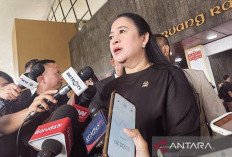 Profil Puan Maharani yang Terpilih Kembali Jadi Ketua DPR 2024-2029 