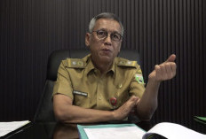 DPTPH Sumsel Catat Penyaluran Pupuk Subsidi Capai 82 Persen