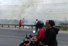 Asap Tebal Selimuti Jalintim Palembang–Indralaya, 10 Hektare Lahan di Ogan Ilir Terbakar