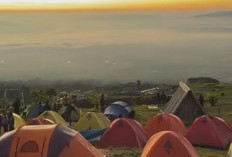 Terjebak dalam Pesona Alam: Camping Ground di Kebon Raya Dempo, Surga Tersembunyi Hanya 300 KM dari Palembang