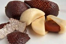 Cegah Ambeien dan Sembelit dengan Kulit Salak