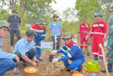 Tangkal Perusakan Habitat Gajah: Pertamina EP Lakukan Aksi Hijau di Koridor Jalur Gajah Sumatera !