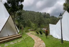 Surga Camping : Forest Garden Batulayang Hadir dengan Nuansa Alam dan Healing di Tengah Hutan Pinus