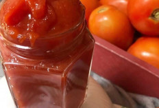 Ragam Jenis Saus : Pelengkap Hidangan yang Menggugah Selera