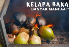 Jaga Kesehatan Jantung dan Ginjal dengan Kelapa Bakar