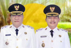 Ayo Segera Daftar : PT Hindoli Buka Lowongan Kerja di Sektor Perkebunan