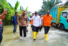 Wabup Rohman Tinjau dan Temui Korban Banjir di Tungkal Jaya 