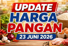 Update Harga Pangan 23 Juni 2026: Cabai Rawit Rp72.650, Telur Ayam Ras Tembus Rp29.950 per Kilogram