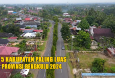 5 Kabupaten Terluas di Bengkulu : Potensi Ekonomi dan Alam yang Luar Biasa !