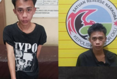 Simpan Ganja di Dalam Lemari : Bandar Ganja di OKU Diciduk Polisi, Segini Barang Buktinya !