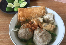 Nikmatnya Bakso Urat Hidangan Legendaris yang Tetap Jadi Favorit di Tengah Gempuran Kuliner Modern