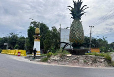 Bukan Hapus Ikon Kota, Pembongkaran Tugu Nanas Prabumulih untuk Persiapan Exit Tol dan Pelebaran Jalan