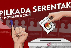 Pilkada Serentak 2024: Daftar Kandidat 17 Kepala Daerah di Sumatera Selatan, Kenali Kandidat di Wilayahmu! 