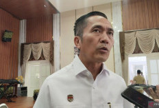 Ratu Dewa Perkuat Kompetensi Tenaga Ketenagalistrikan Jelang Operasional PSEL Palembang
