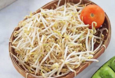 Kecambah : Superfood Kecil yang Kaya Manfaat untuk Kesehatan