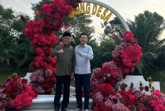 Saung Desa Pulau Negara, Wisata Kuliner 10 Ribuan Bernuansa Alam dengan Fasilitas Lengkap di Ogan Ilir