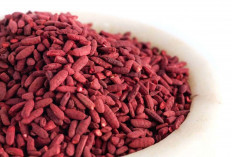 Perkuat Fungsi Limpa dan Tingkatkan Trombosit Darah dengan Angkak