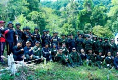 BNN Musnahkan 5 Ribu Pohon Ganja di Aceh Besar, Total 2,3 Ton Dimusnahkan