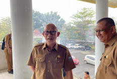 Pembatalan 4 Tenaga Honorer Menjadi PPPK Sudah Sesuai Prosedur