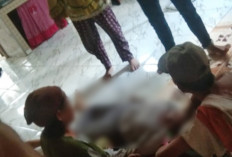 Seorang Gadis di Pangkalan Lampam OKI Tewas Tergantung di Rumah Kekasih