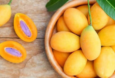 Tingkatkan Fungsi Otak dengan Buah Gandaria