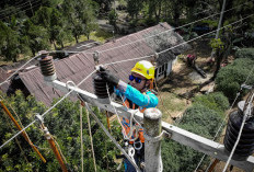 PLN Tetapkan Masa Siaga 3 Hari Berturut-Turut saat Libur Idul Adha 1445 H