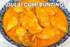  Cara Membuat Cumi Bunting Gulai yang Lezat dan Gurih, Resep Praktis Rumahan ala Restoran