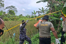 Mayat Perempuan Tanpa Identitas Ditemukan di Pinggir Sawah Desa Merah Mata Banyuasin