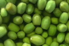 Manisan Kedondong, Camilan Segar dengan Rasa Asam Manis yang Menggoda