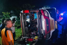 Kecelakaan Tragis : Bus Study Tour Siswa SD OKU Timur Terguling di OKI, Begini Kondisi Korban !