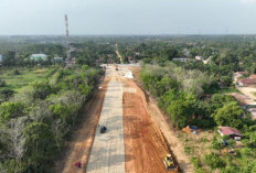 Progres Proyek Raksasa Tol Betung-Tempino-Jambi : Memangkas Waktu Tempuh, Mendorong Konektivitas Regional !